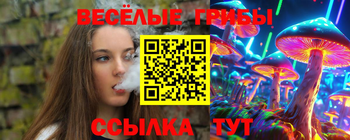 Улан-Удэ  Псилоцибиновые грибы мухоморы  Вход с VPN 