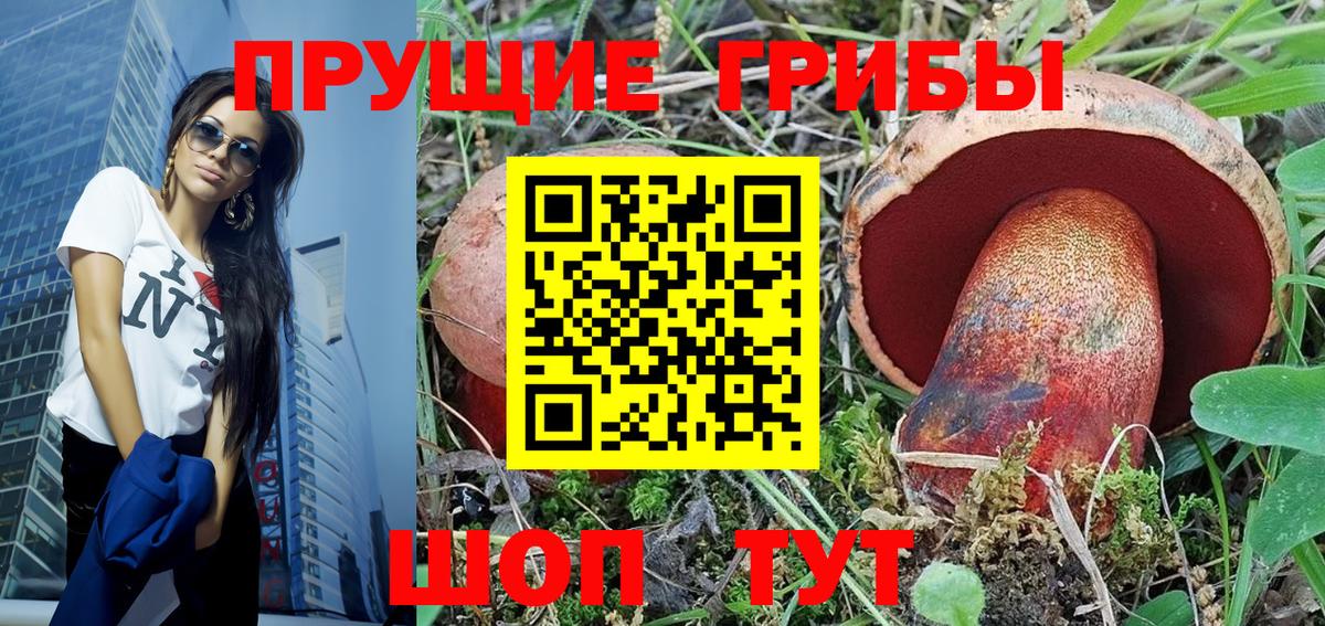Галлюциногенные грибы Psilocybine cubensis Улан-Удэ